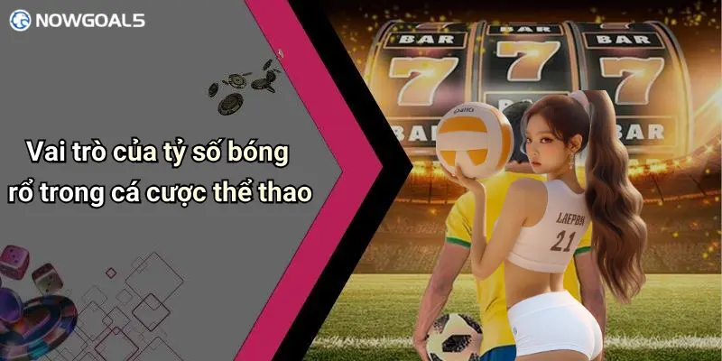 Vai trò của tỷ số bóng rổ trong cá cược thể thao