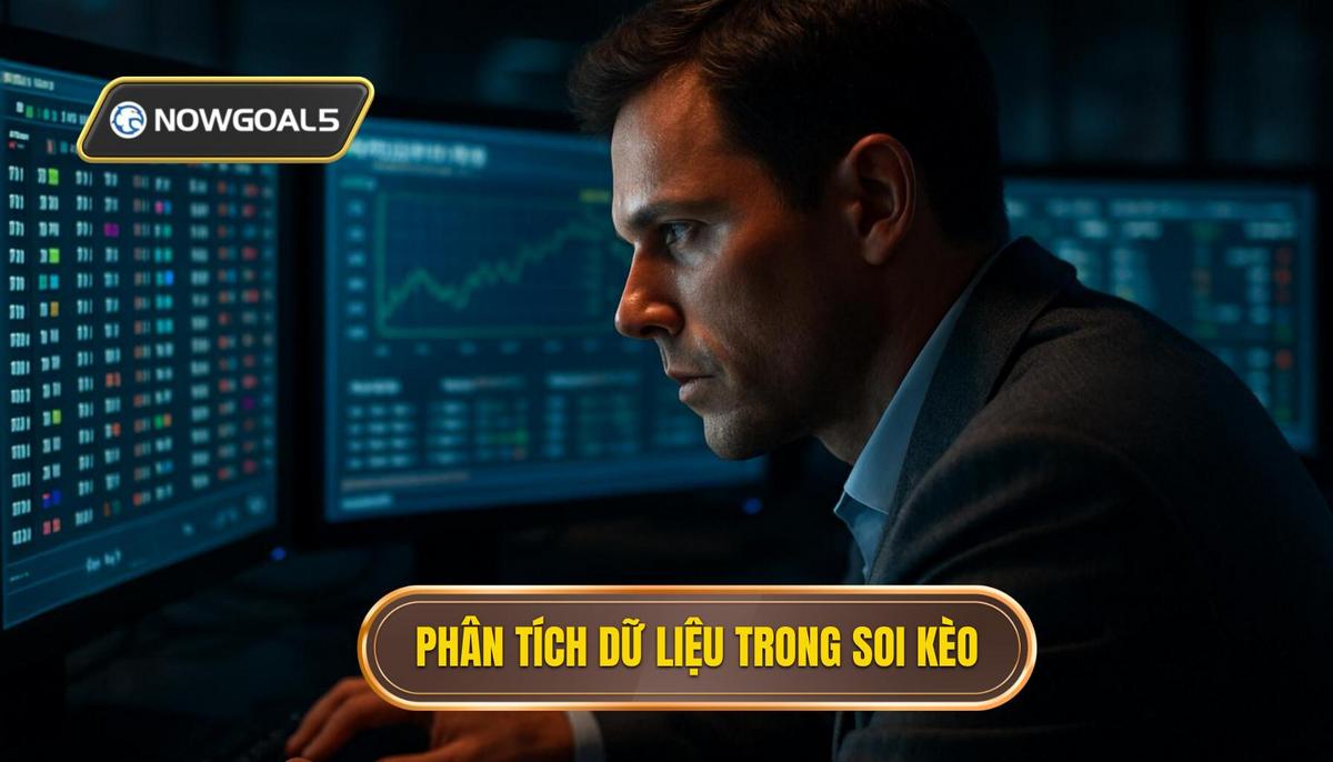 Phân tích dữ liệu định lượng và định tính trong soi kèo
