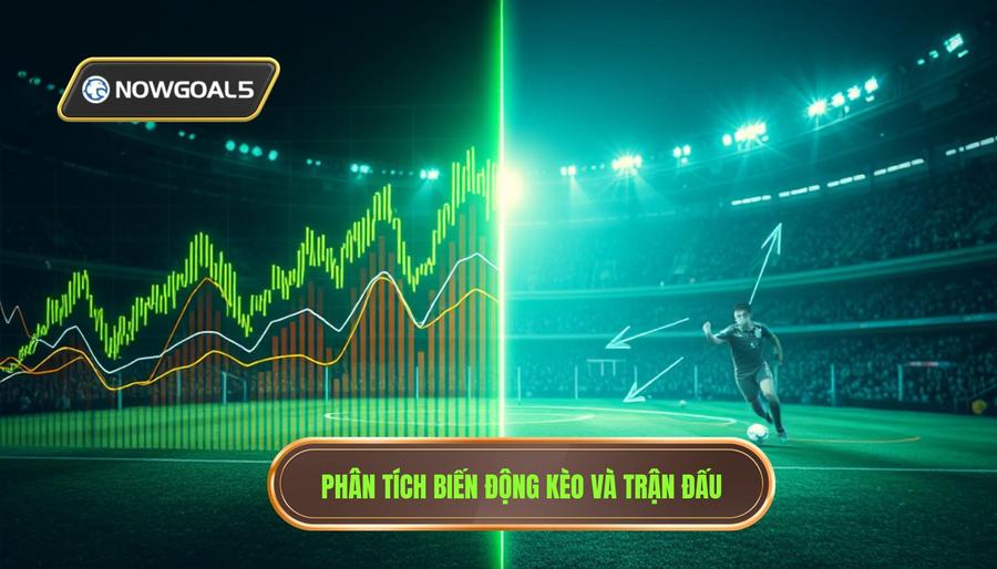 Phân tích đa chiều: Mối quan hệ giữa biến động kèo và diễn biến sân cỏ